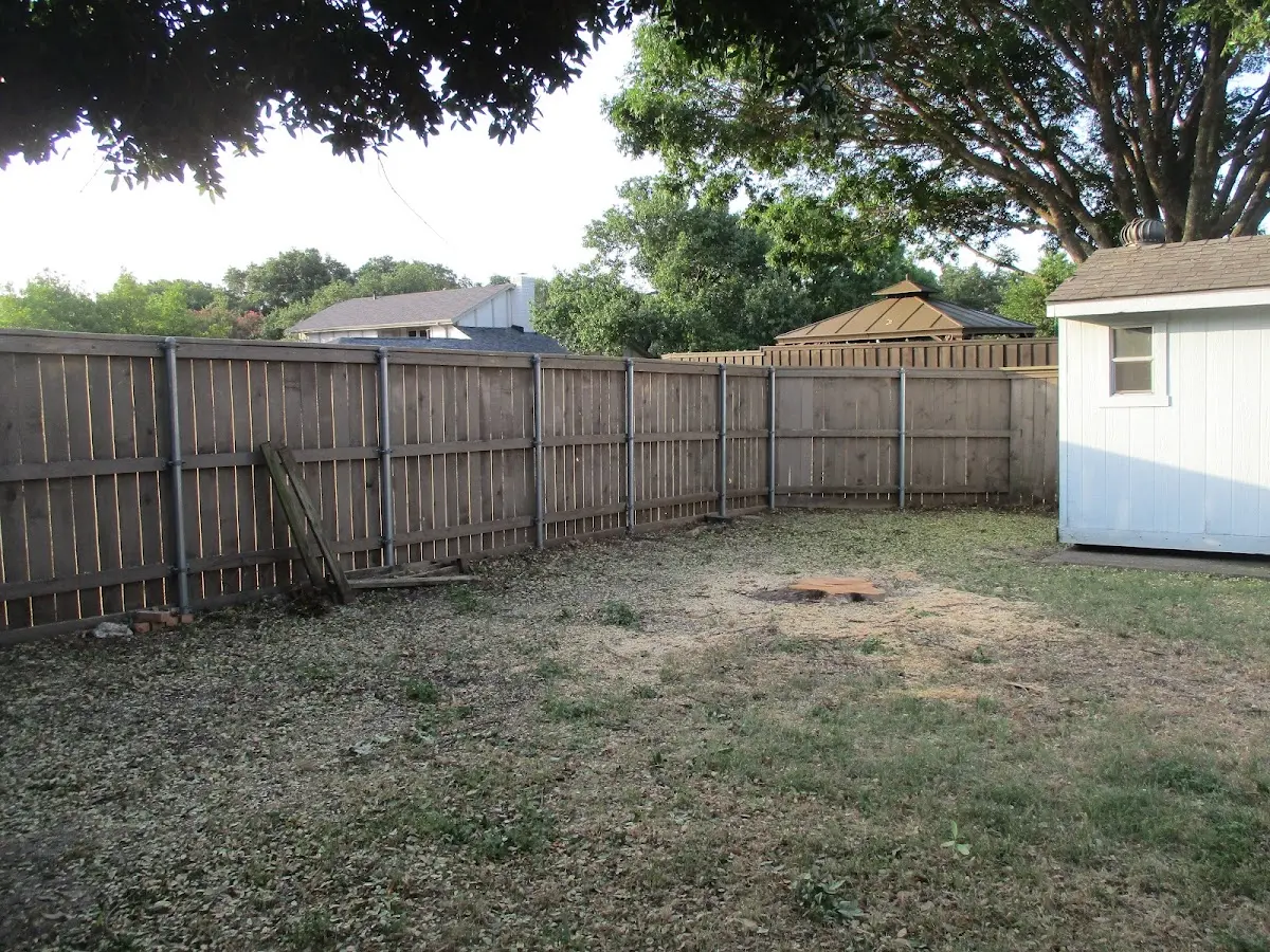 Cleared yard after professional tree removal in Dodson