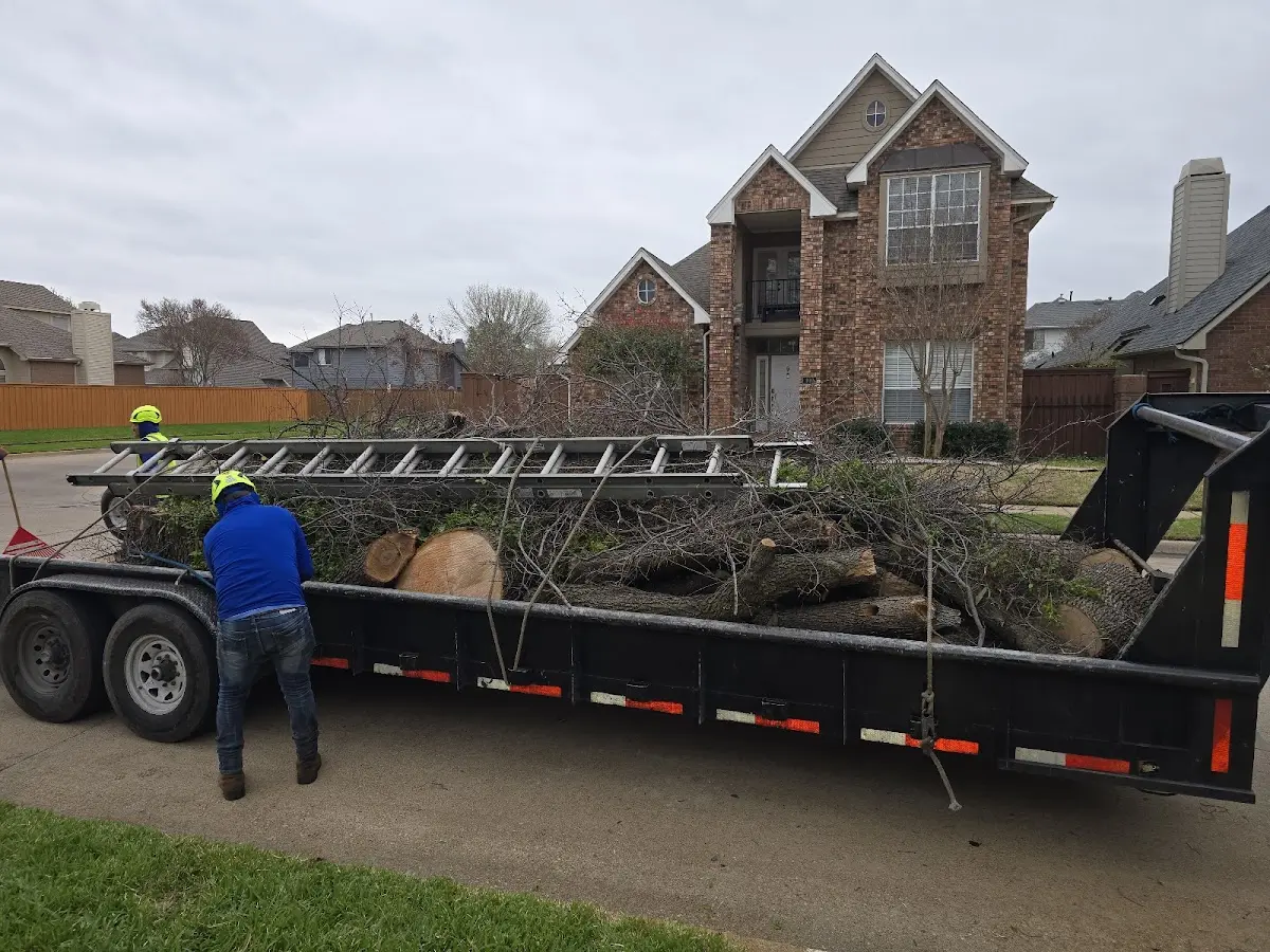 Expert Tree Fertilization with proper safety equipment in Dodson